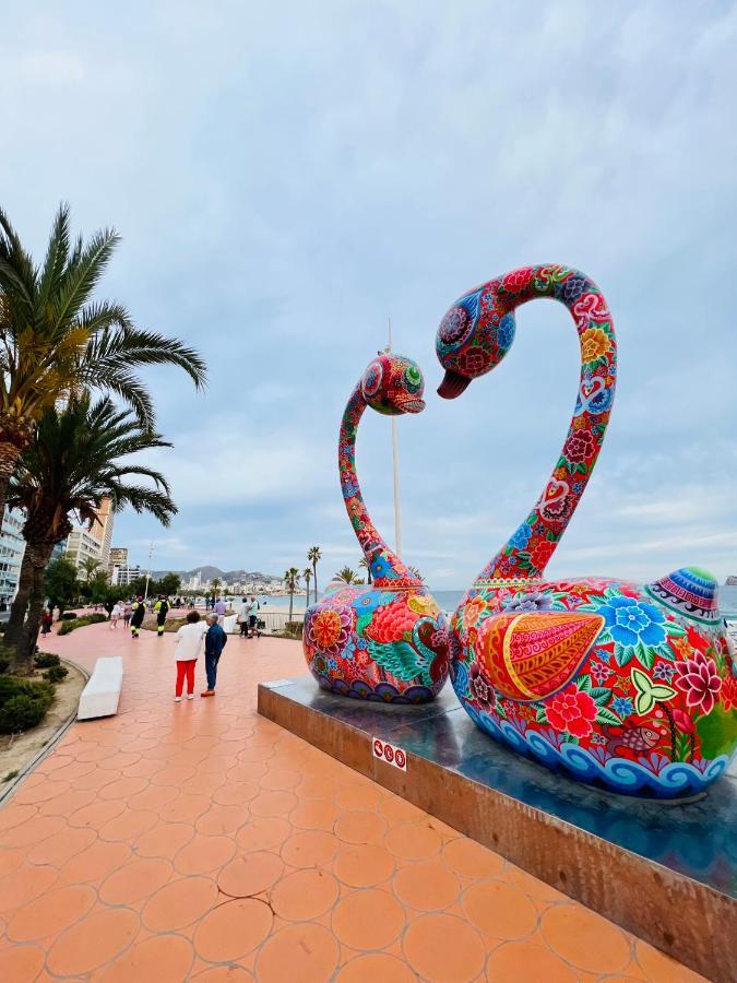 Magic Studio With Swimming Pool Benidorm Exteriör bild