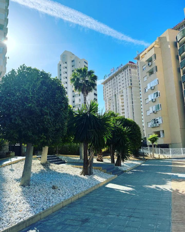 Magic Studio With Swimming Pool Benidorm Exteriör bild